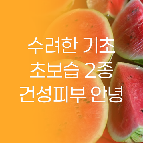 수려한 본 초보습 2종 세트 솔직 후..