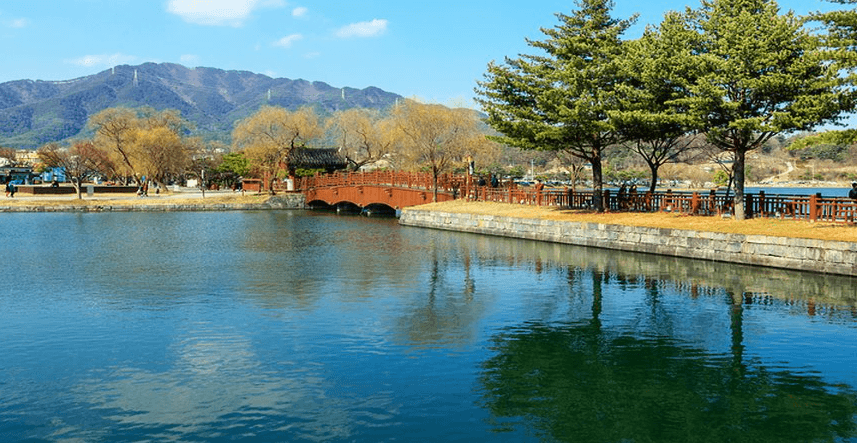 제천 가볼만한곳