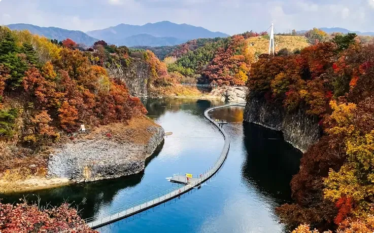 철원 고석정 가을 꽃밭이란?