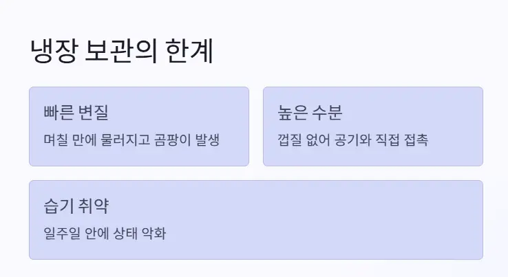 냉장 보관 한계