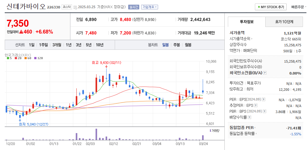 신테카바이오 일봉차트