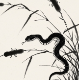 뱀 나오는 꿈 뱀 잡는 꿈