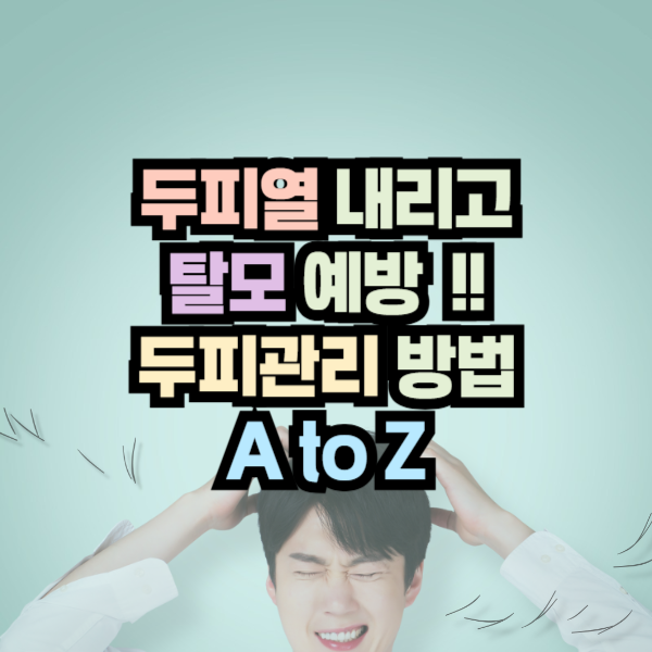 탈모예방 두피 관리 제품 추천