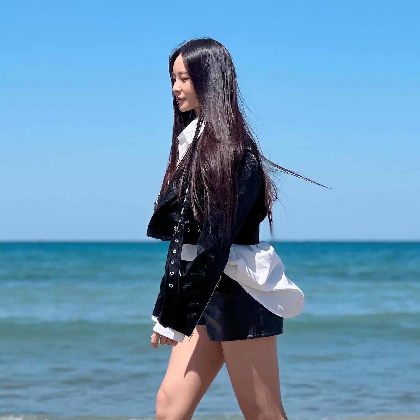 피티니스 모델 이송이