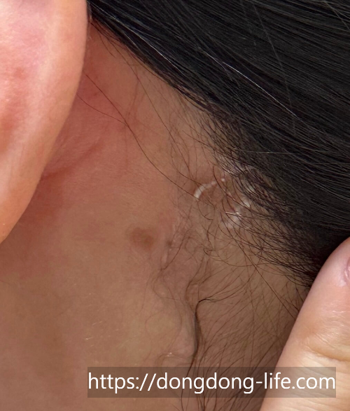 중계의원 기미 리뷰