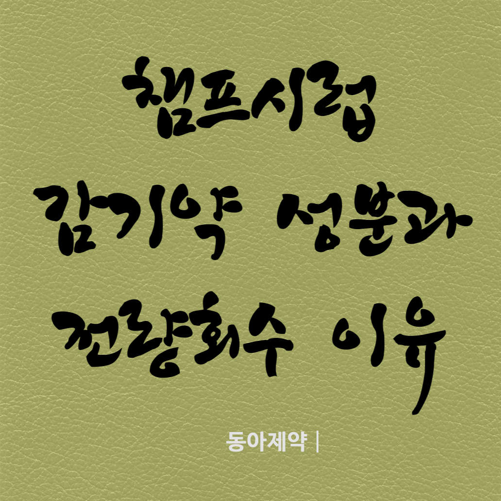 챔프시럽반품원인및성분