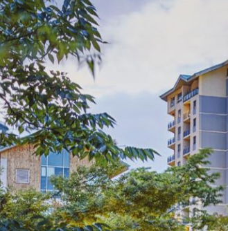 노타 균등 배정