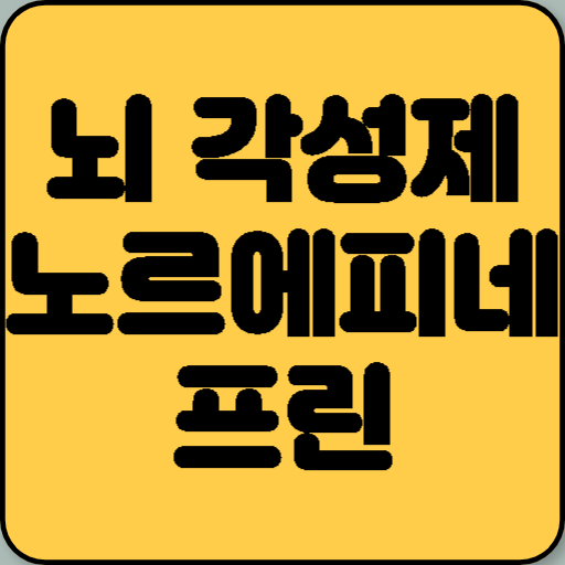 뇌 각성제 노르에피네프린과 몸의 비상체제 에피네프린