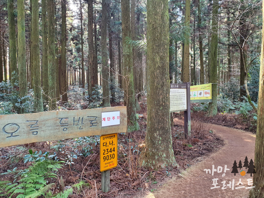 붉은 오름 등반로