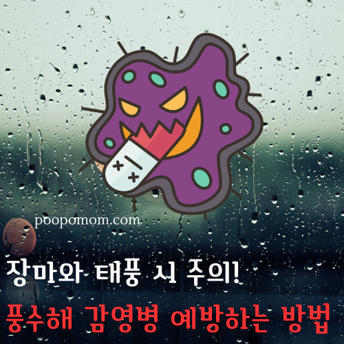 풍수해감염병