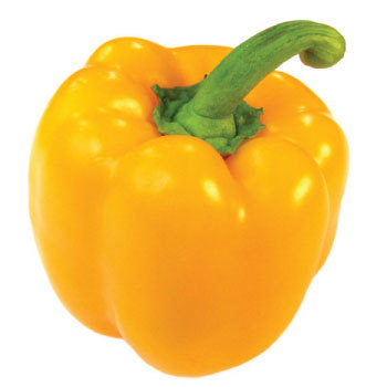 파프리카