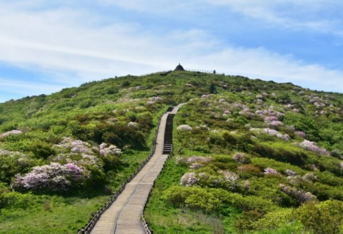 지리산 성삼재 주차장 위치 요금