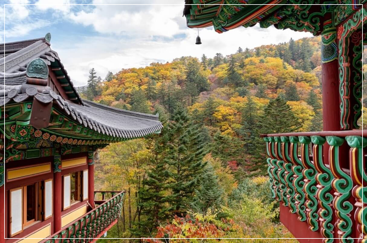 평창 가볼만한곳 베스트10 오대산 선재길