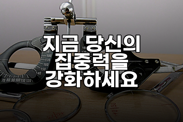 지금 당신의 집중력을 강화하세요