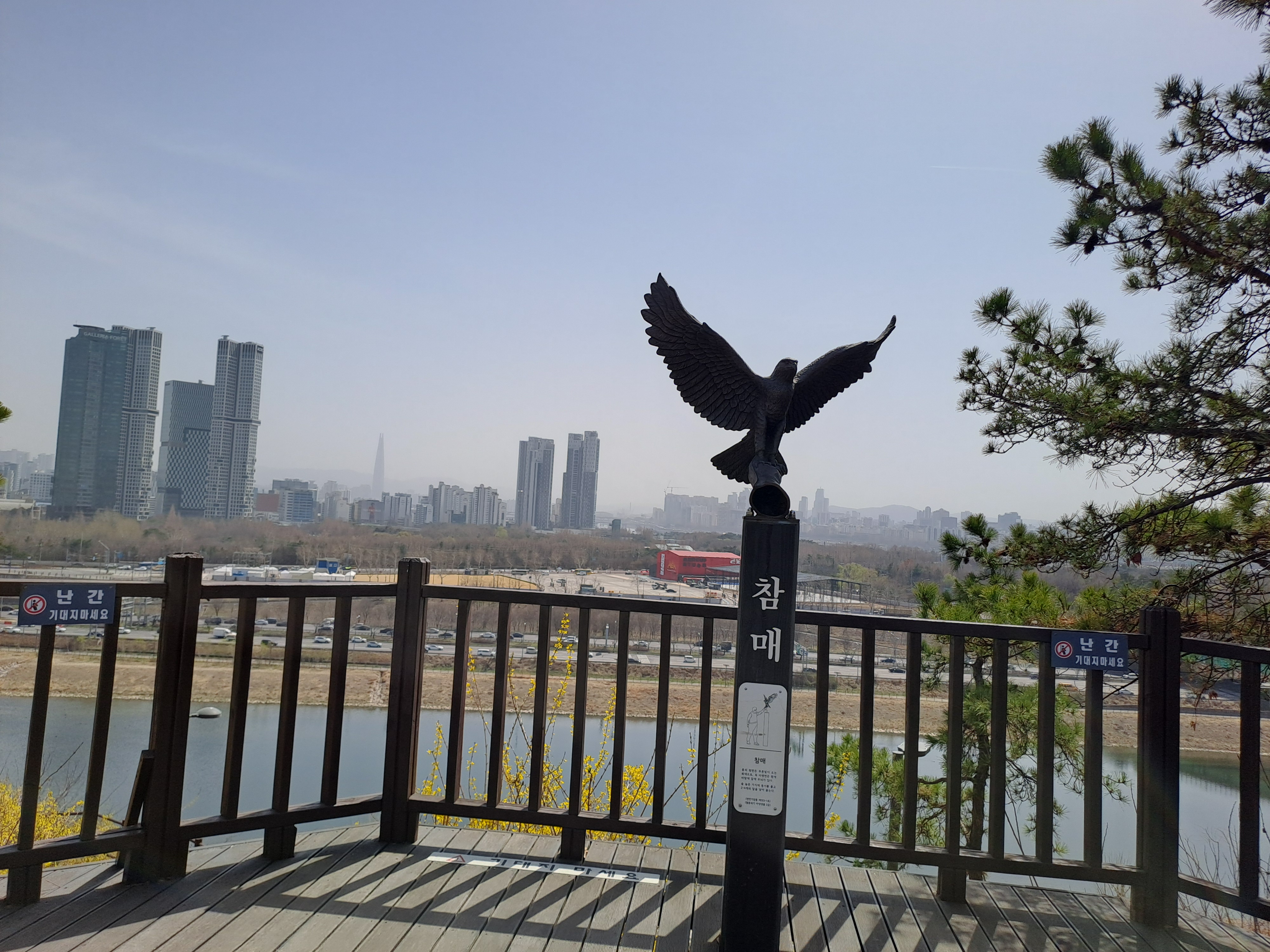 응봉산의-상징-황매-02