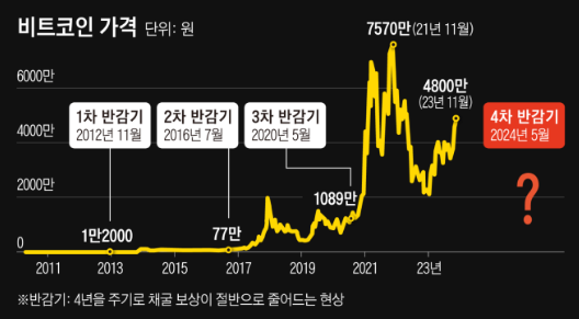 비트코인 반감기 이더리움 리플 솔라나 도지코인 전망 차트보는방법