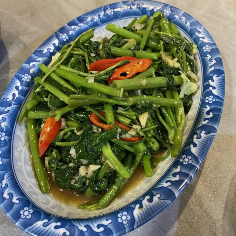 모닝글로리 쇼핑몰 다이어리 달력 수척 필통 추천_1