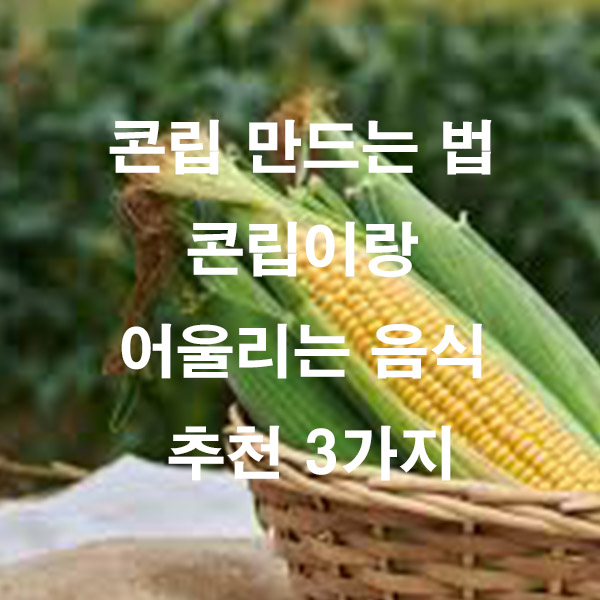 콘립 만드는 법 콘립이랑 어울리는 음식 추천 3가지