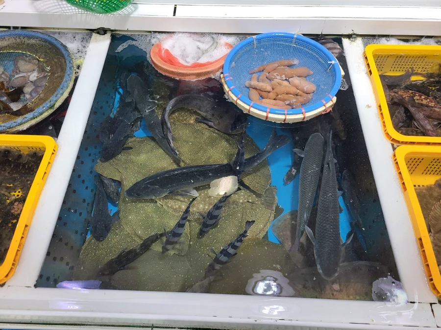 삼천포 용궁수산시장 수조