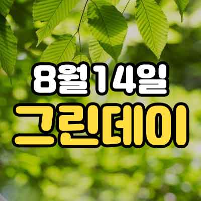 8월14일 그린데이