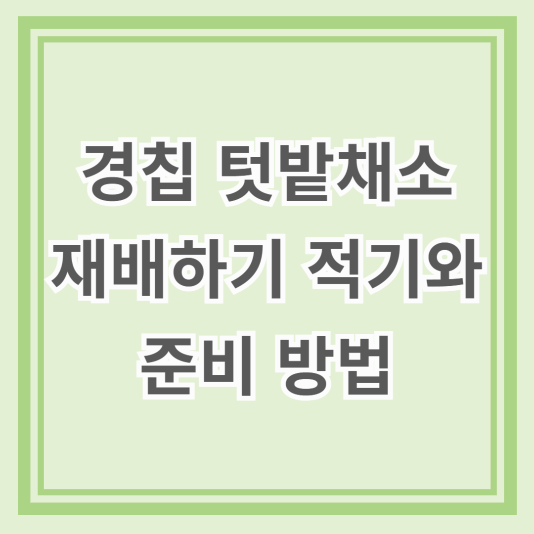 경칩을 맞아 텃밭채소 재배하기 적기와 준비 방법