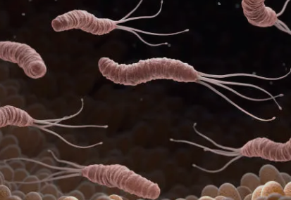 헬리코박터균 6