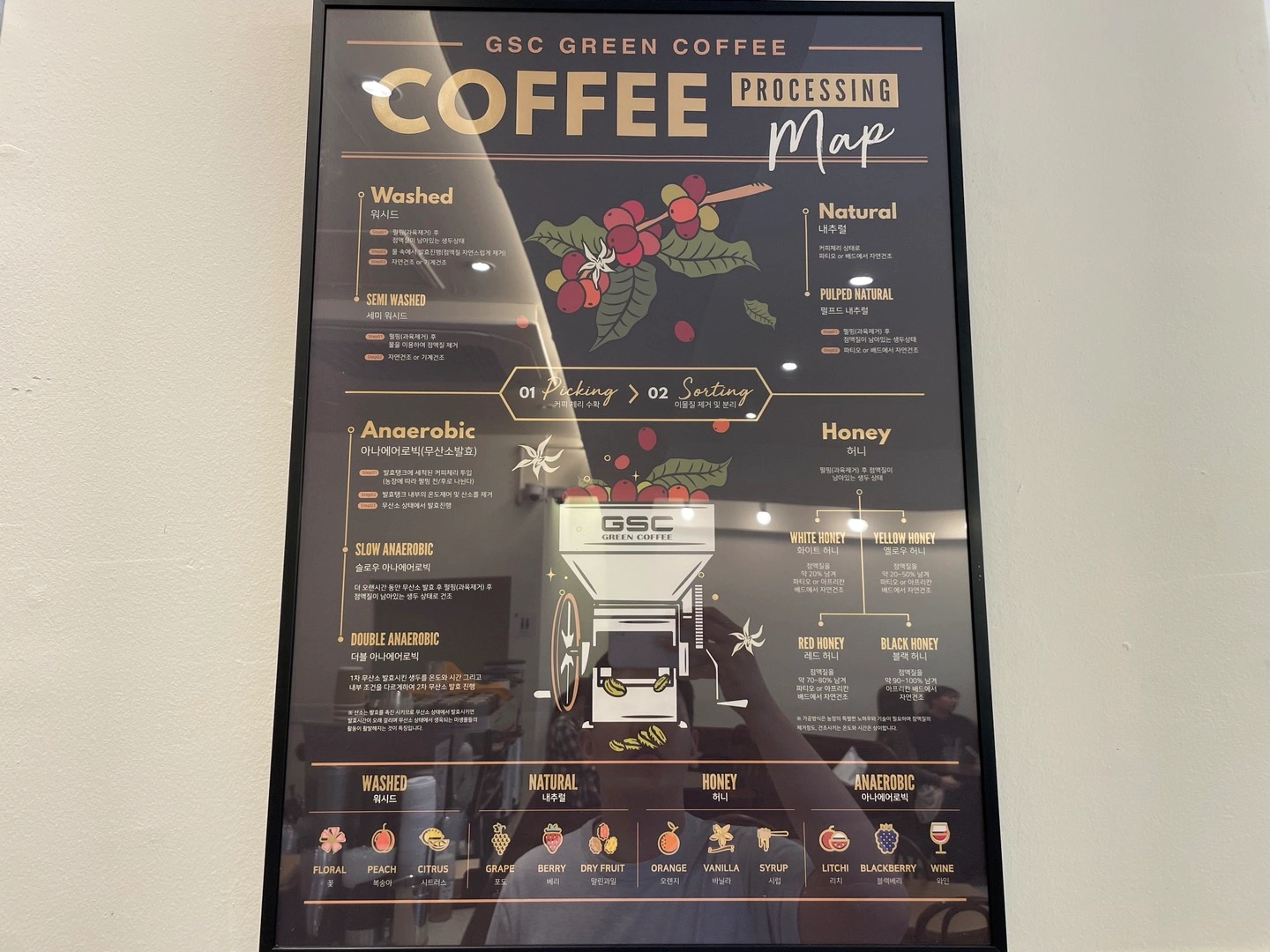 강남-오로스트-커피-카페-원두-소개