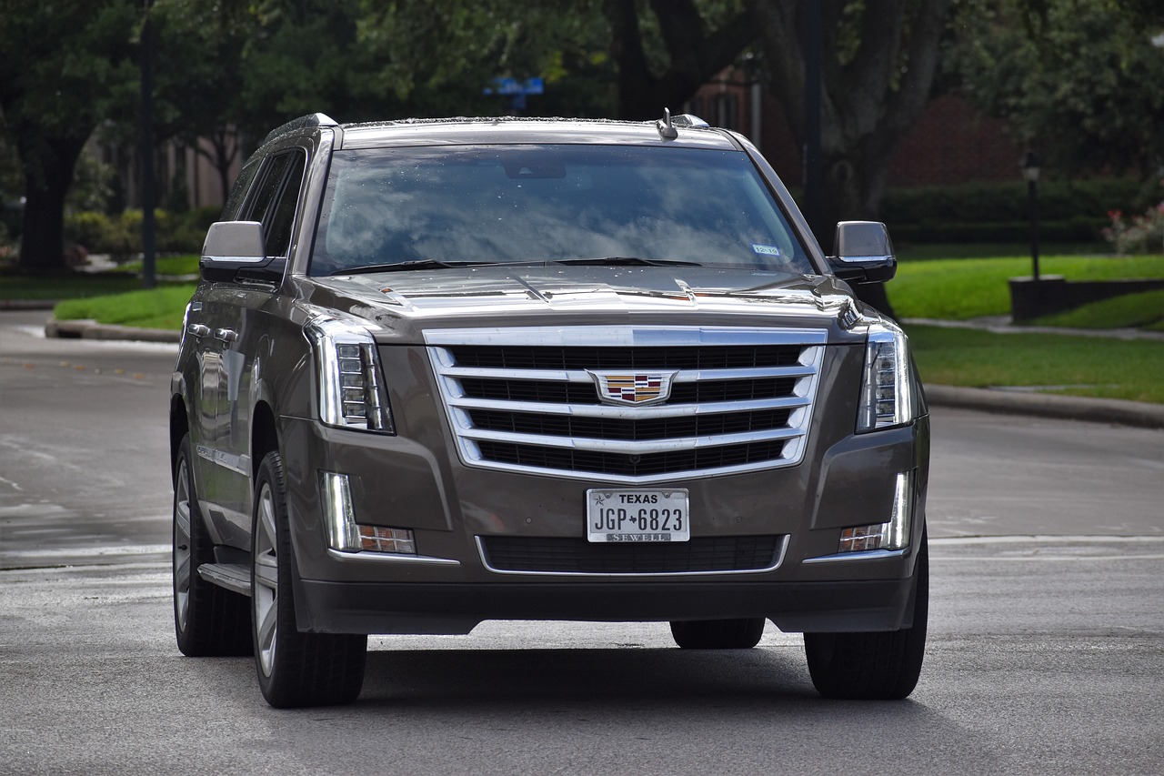suv 캐딜릭차량