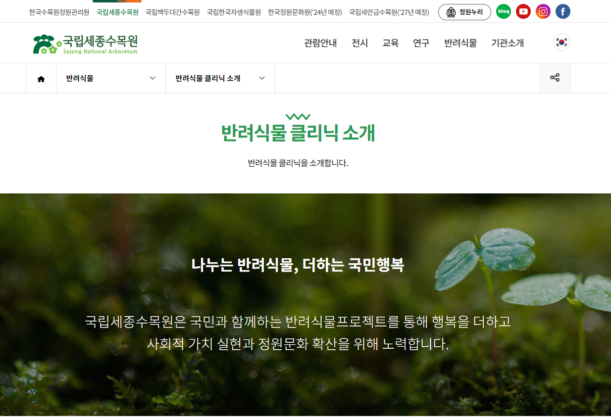 식물 키우기가 어려운 초보 식집사들을 위한 반려식물 클리닉