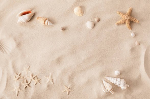 서해안 태안 해수욕장 추천 개장일 폐장일