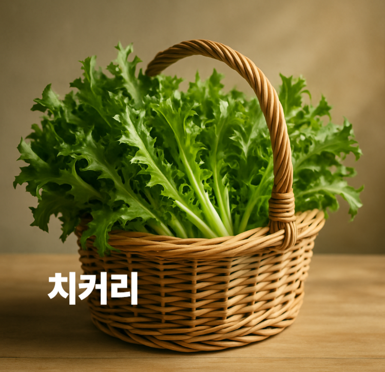 쌉싸름한 맛과 아삭한 식감 소화기능향상 식이섬유풍부 치커리 효능 영양성분