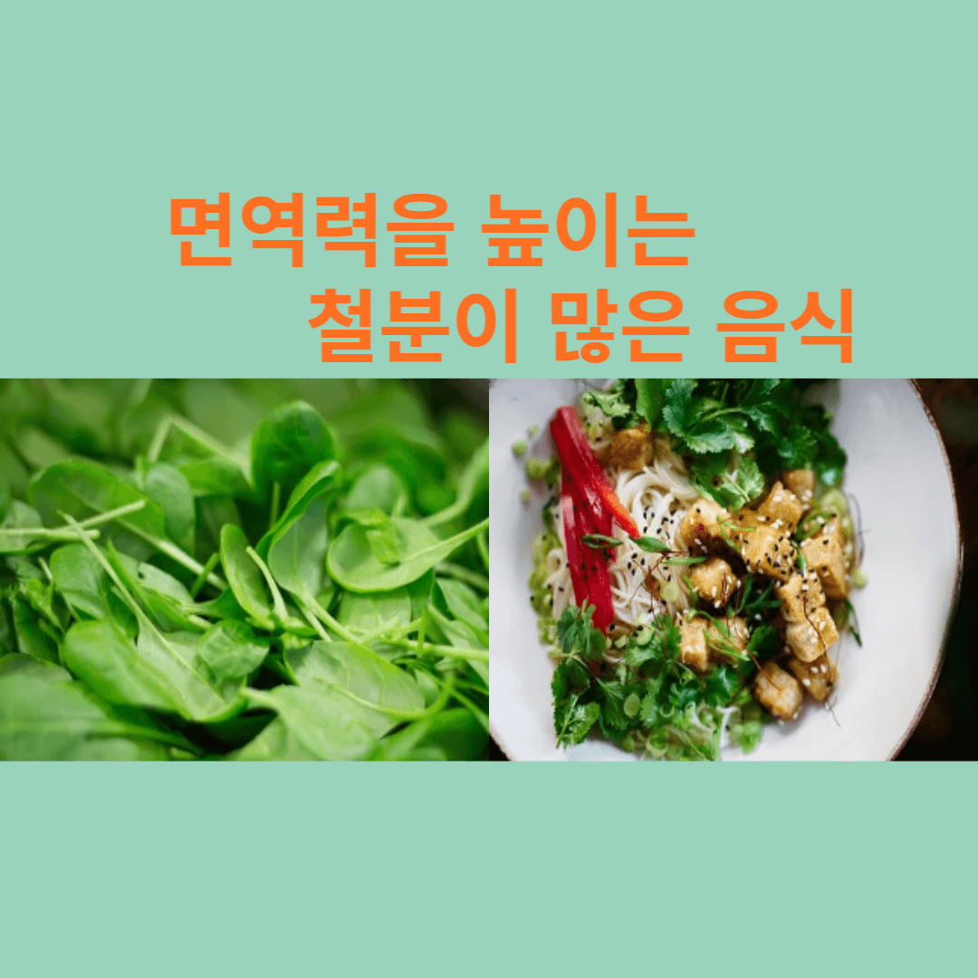 철분이-많은-음식-사진