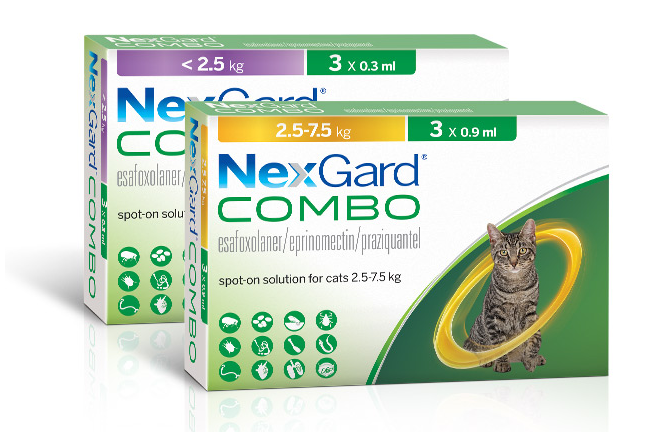 넥스가드 스펙트라