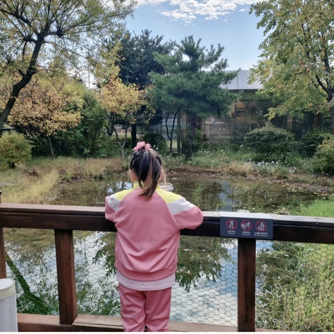 10월 아이와 함께 떠나는 가족 여행지 BEST 10