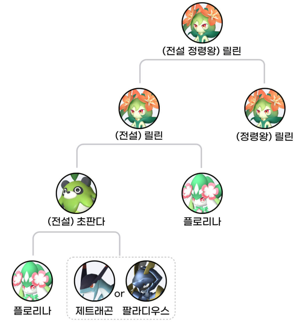 릴린 교배 가이드