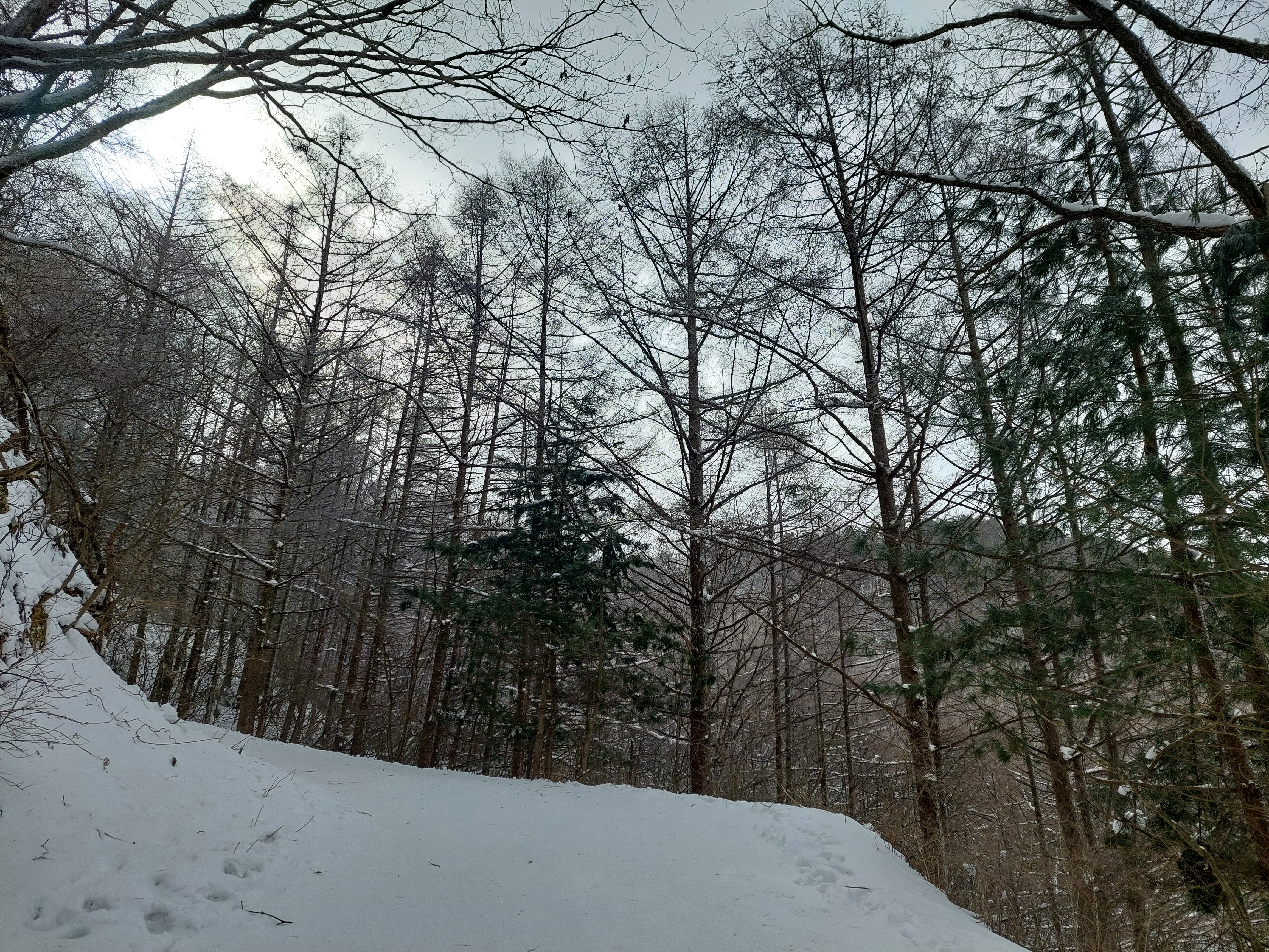 바래봉