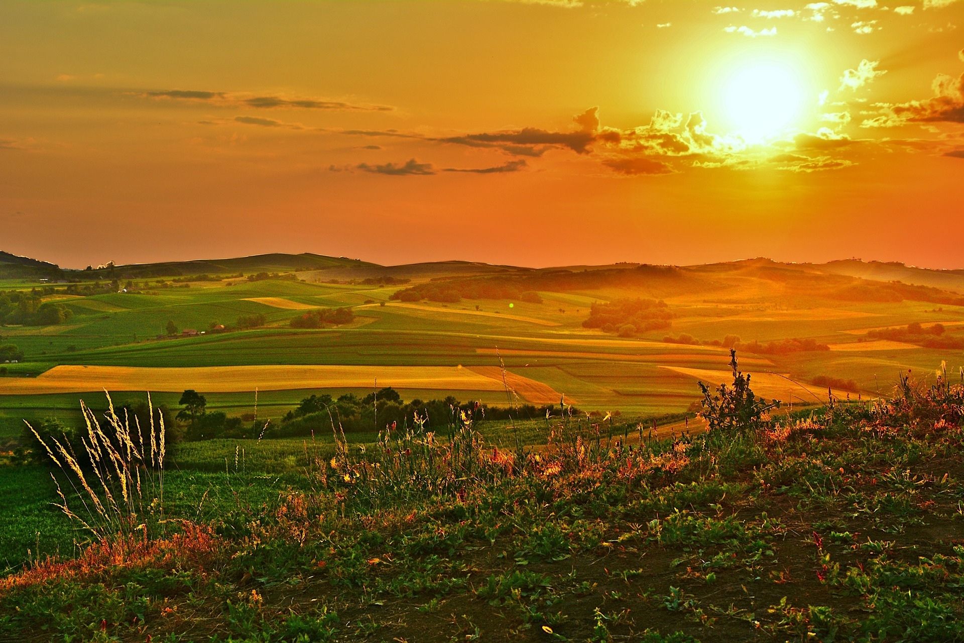 해지는 농지 모습