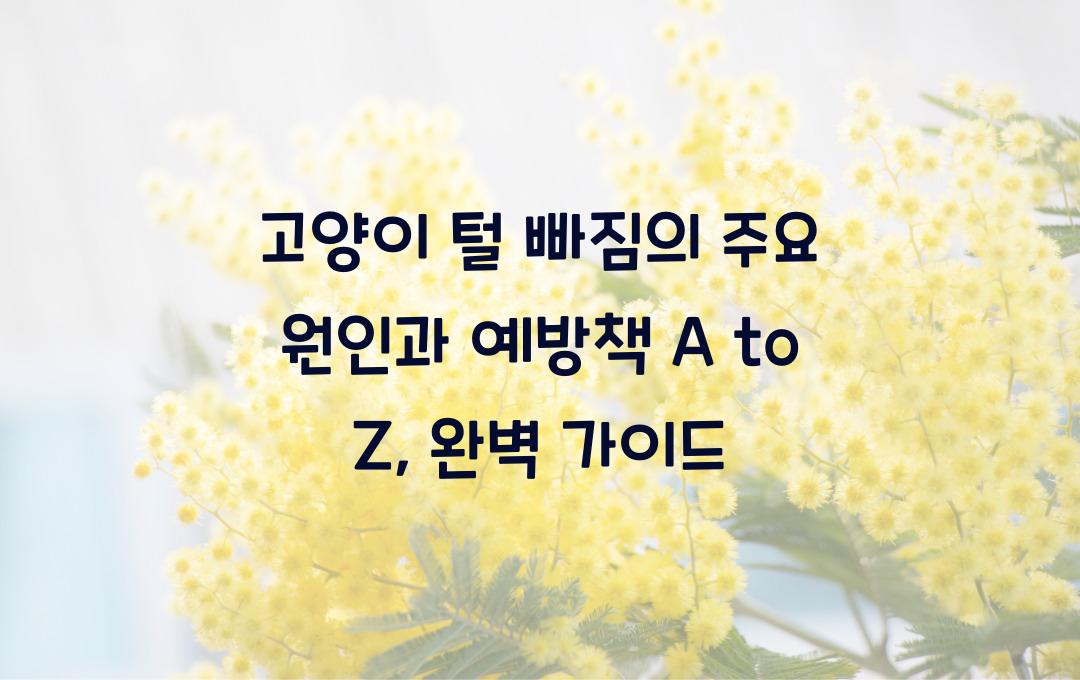 고양이 털 빠짐의 주요 원인과 예방책