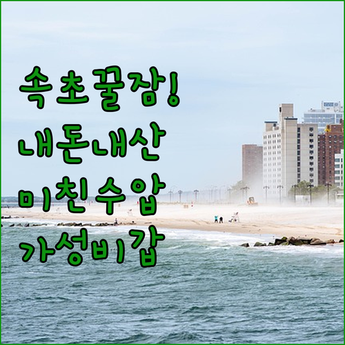 속초 호텔 내돈내산 후기 위치 좋고 ..