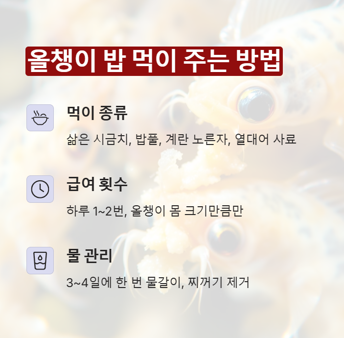 먹이 주는 방법