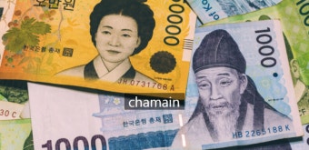 2025 민생지원금 25만원 신청 총정리