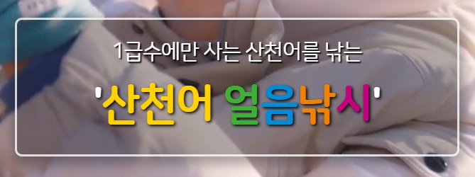 화천 산천어 축제