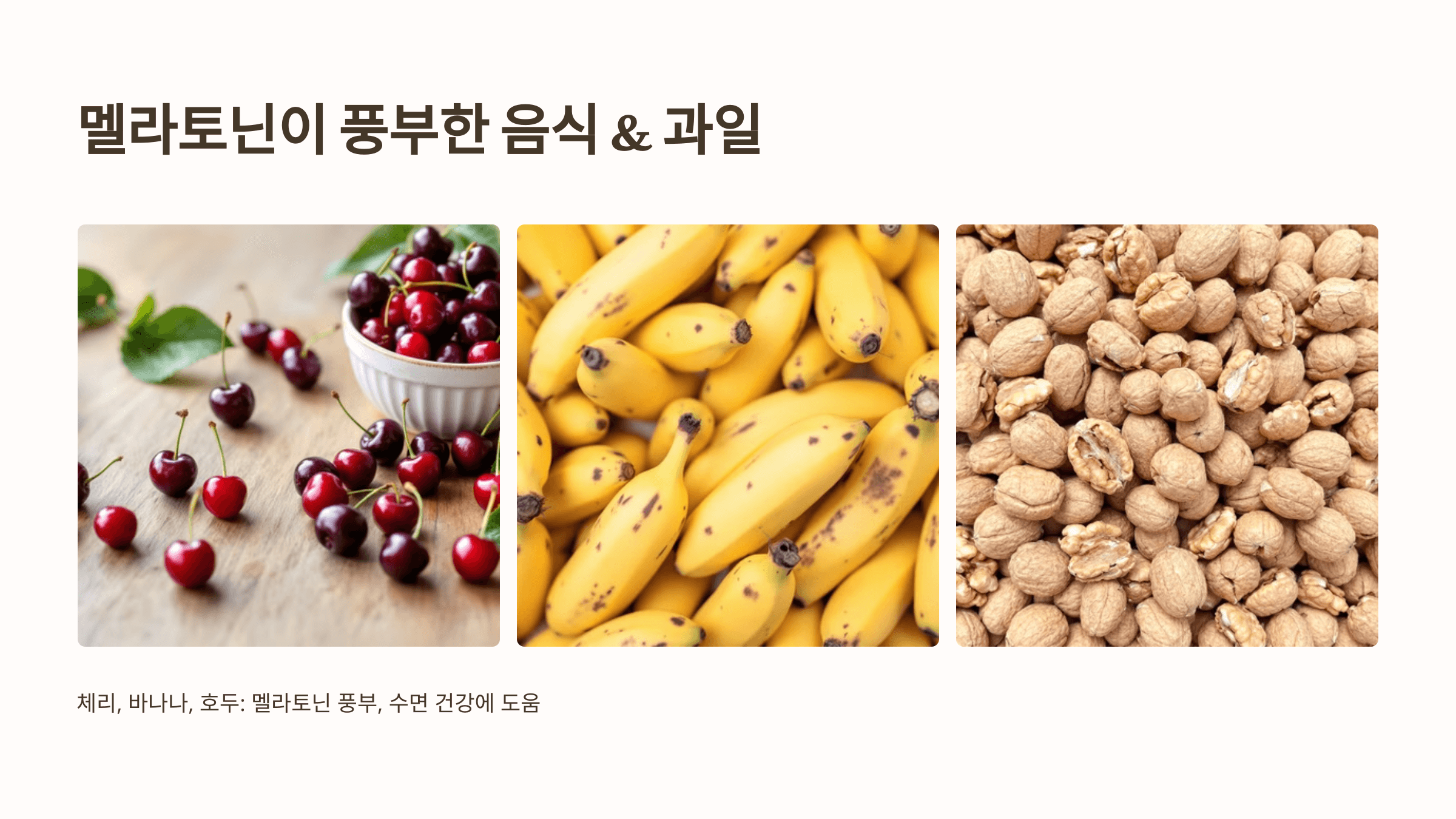 멜라토닌과 관련된 사진입니다.