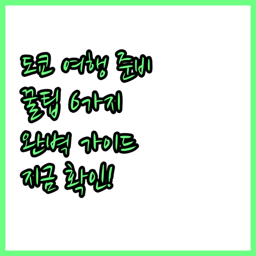 도쿄 여행 준비 완벽 가이드 6가지 