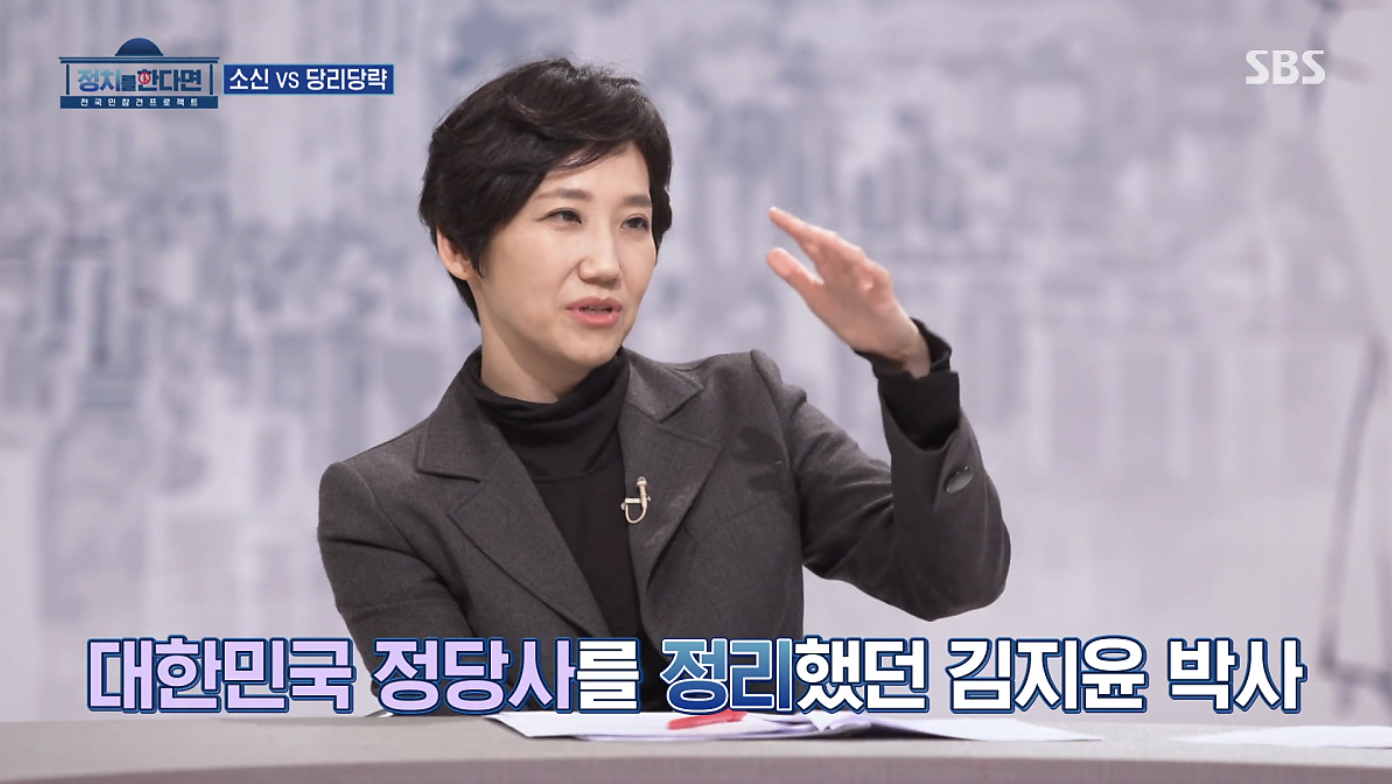 김지윤 대한민국 정당사 정리