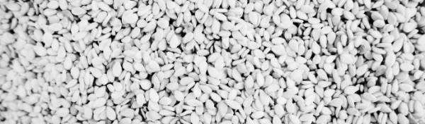 참깨 재배 방법