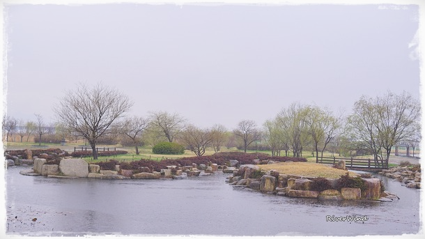 비오는 삼락공원(三樂公園)