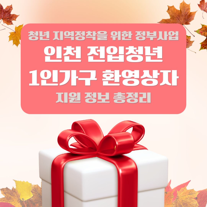 정부사업/인천/전입청년/1인/가구/환영/상자
