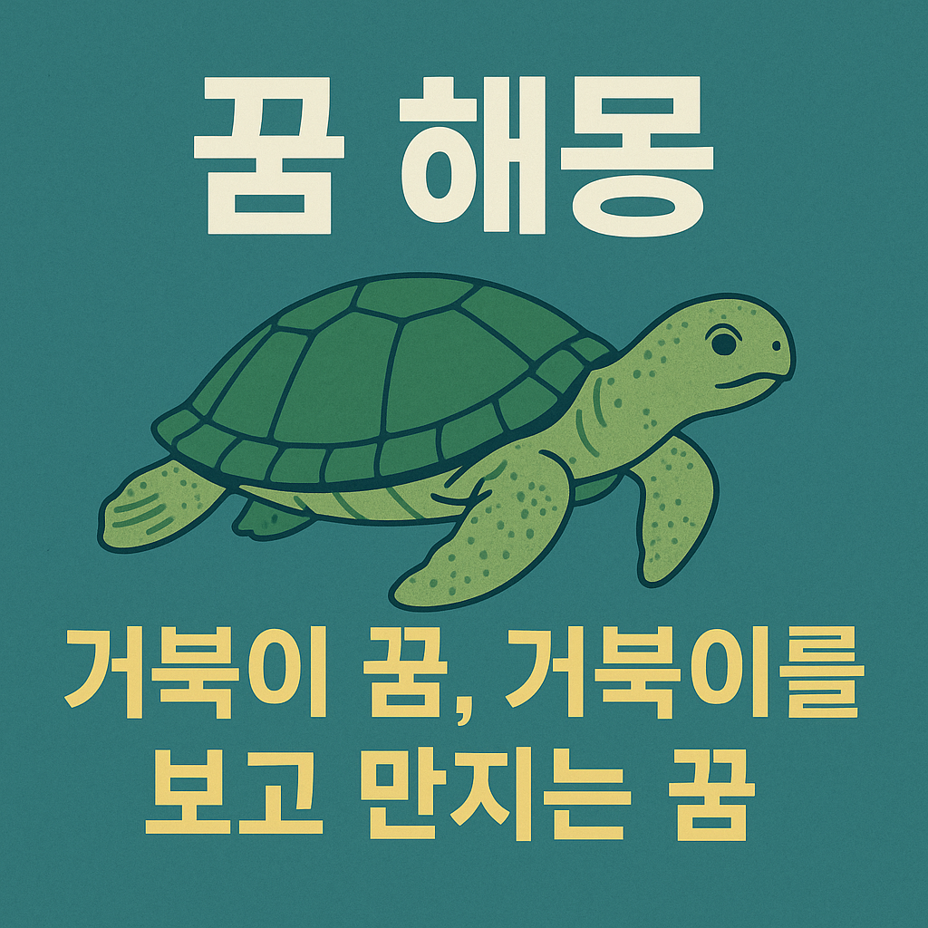 거북이 꿈