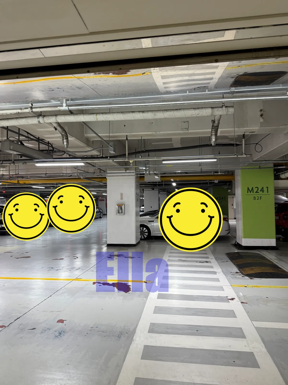 롯데월드-주차자리